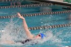 Women's Swimming & Diving  Wheaton College Women’s Swimming & Diving vs Mount Holyoke College. - Photo by Keith Nordstrom : Wheaton, Swimming & Diving